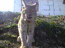 View next photo