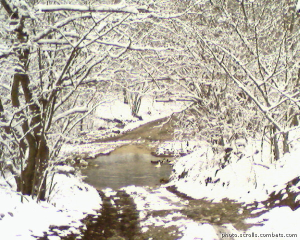 View next photo