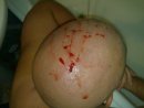 View prev photo