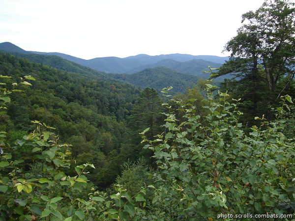 View next photo