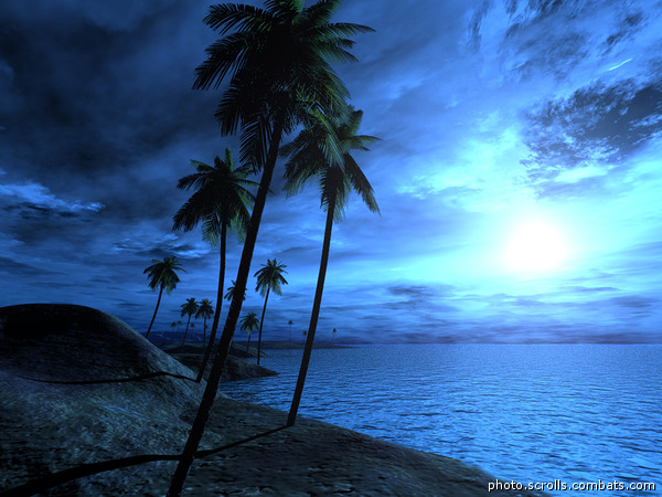 View prev photo