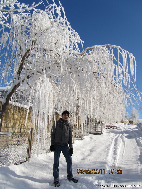 View prev photo