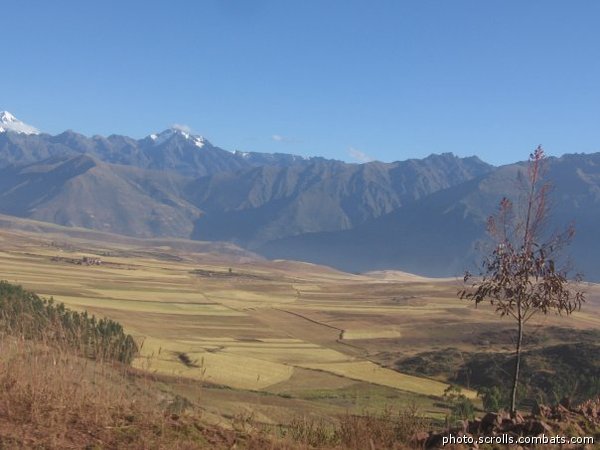 View prev photo