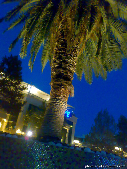 View next photo