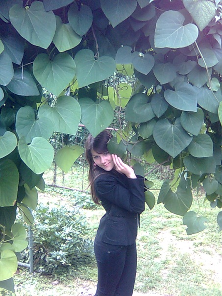 View prev photo