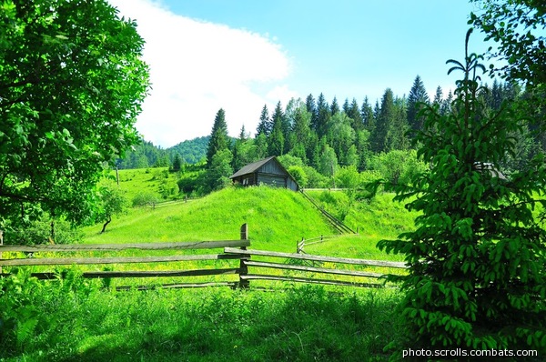 View prev photo