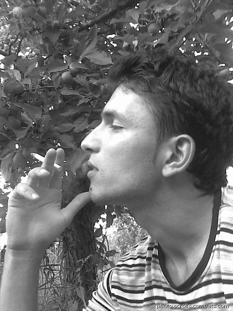 View prev photo