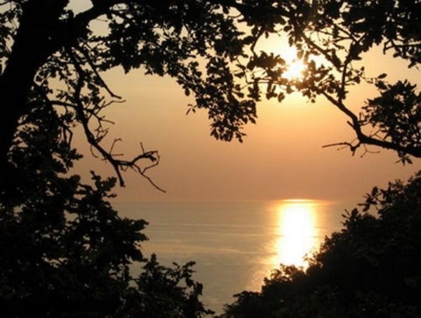 View prev photo