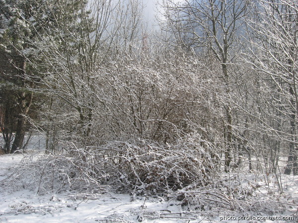 View prev photo