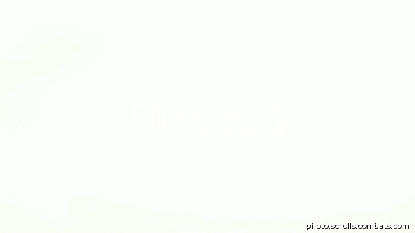 View prev photo