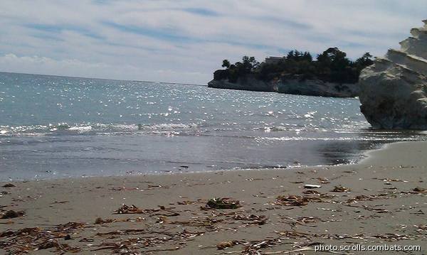 View prev photo