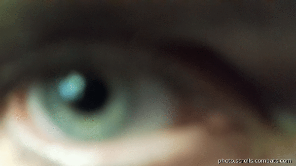 View prev photo